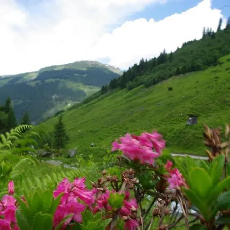 Zillertal-Urlaubat0003 Hippach
